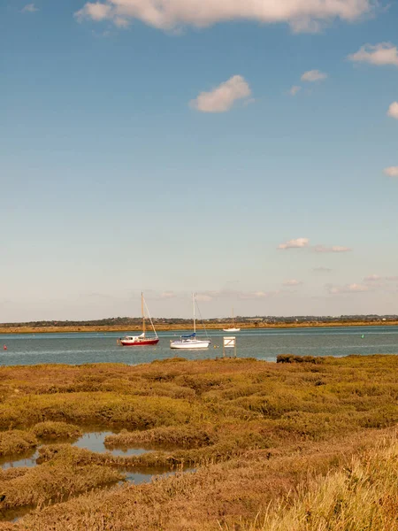 Belle Scène Rivière Avec Des Bateaux Prairies Devant Ciel Bleu — Photo