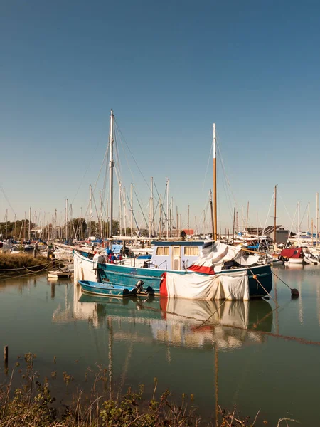 Embarcadero Privado Estacionado Frente Puerto Deportivo Mástiles Escena Marina —  Fotos de Stock