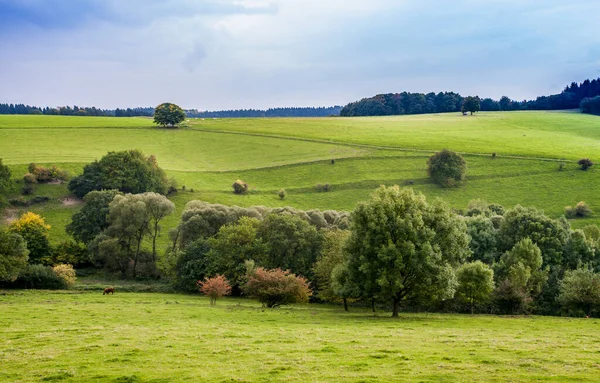 田舎の牧草地と農業風景ドイツ農地 — ストック写真