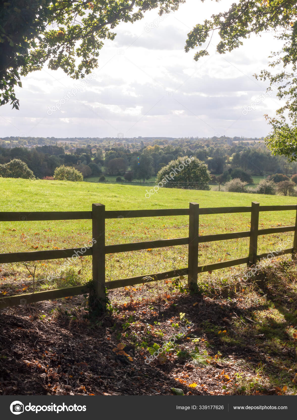 Barbed Wire Fence Alongside Country Road-9129 | Stockarch Free Stock Photo  Archive, image size:1200x1700