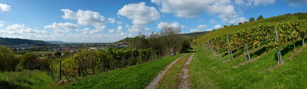 Üzüm Bağının Panorama Manzarası Mavi Gökyüzü Bulutlu Toprak Yol — Stok fotoğraf