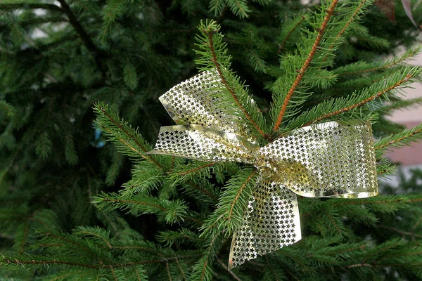 Festive Christmas Tree Holiday Decorations — Stock Photo, Image