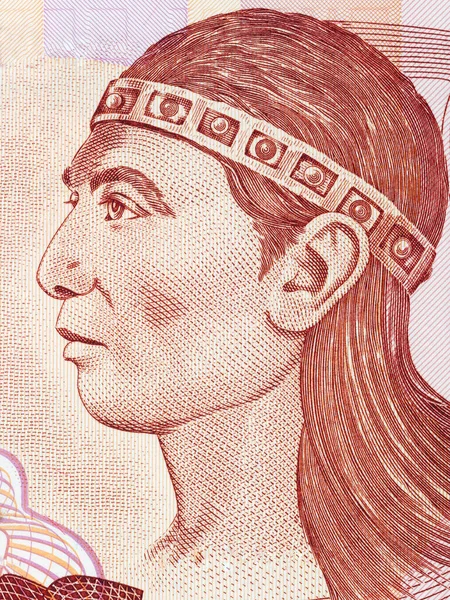 Lempira Governante Lenca Retrato Dinheiro Hondurenho — Fotografia de Stock