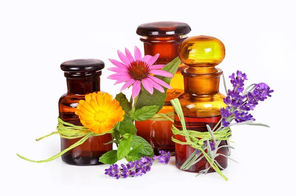 Bem Estar Com Lavanda Calendula Equinácea — Fotografia de Stock