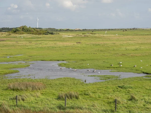 Het Strand Duinen Van Spiekeroog — Stockfoto