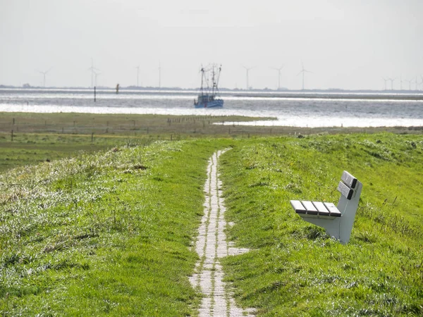 Beach Dunes Spiekeroog — 图库照片