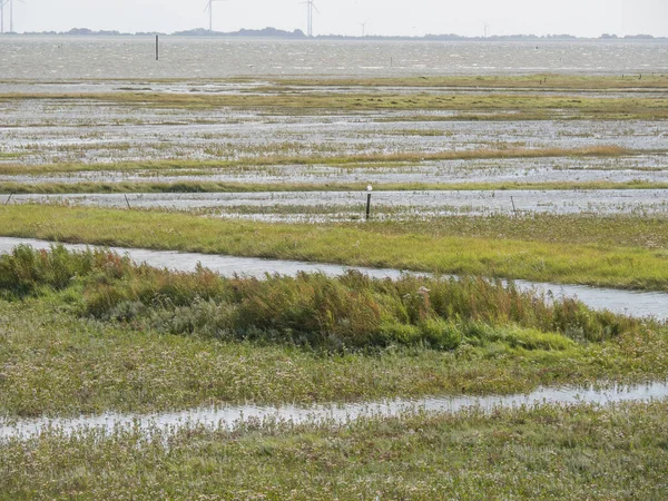 Playa Las Dunas Spiekeroog — Foto de Stock