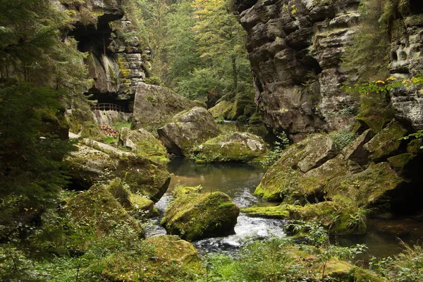 Φαράγγι Του Ποταμού Kamenice Στην Μποέμικη Ελβετία Στην Τσεχική Δημοκρατία — Φωτογραφία Αρχείου