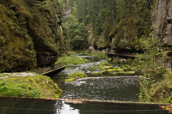 Desfiladero Del Río Kamenice Suiza Bohemia República Checa —  Fotos de Stock