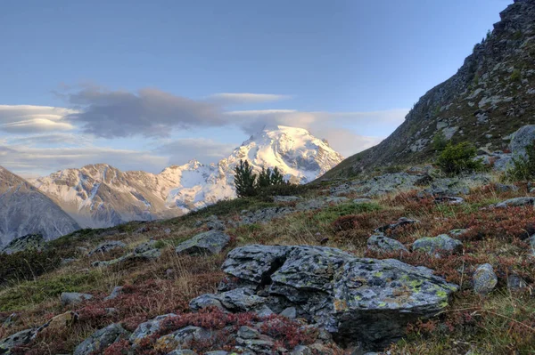 Toppen Ortler Aften Lys - Stock-foto