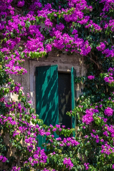 Talya Garda Gölü Nde Yaz Günü — Stok fotoğraf