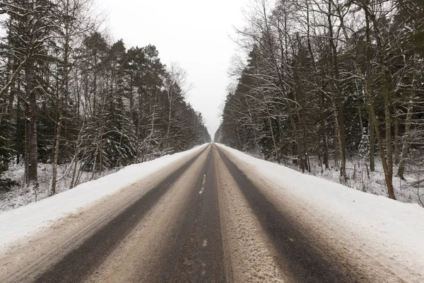 Gröna Majsblad Som Växer Ett Jordbruksområde Fotograferad Närbild Med Kort — Stockfoto