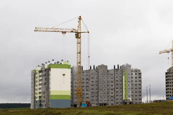 Grüne Maisblätter Die Auf Dem Gelände Eines Landwirtschaftlichen Feldes Wachsen — Stockfoto