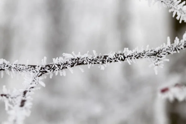 Närbild Del Byggnadens Vägg Små Stenar — Stockfoto