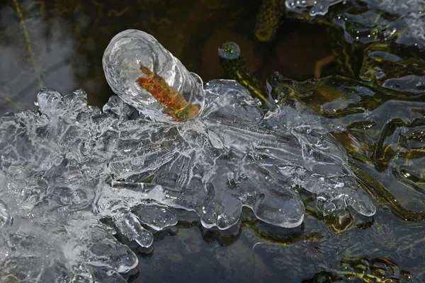 Hielo Estanque — Foto de Stock