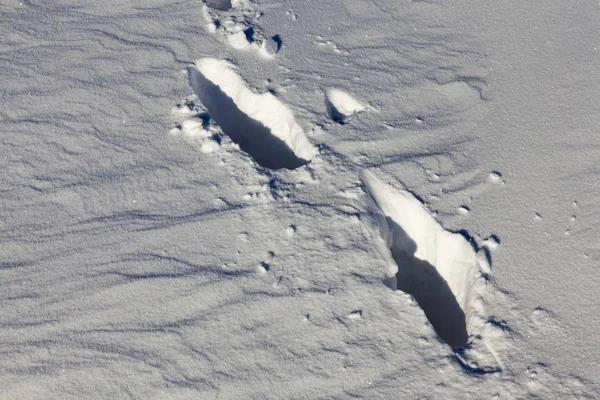 Schnee Fotografiert Der Wintersaison Die Nach Einem Schneefall Erschien Nahaufnahme — Stockfoto