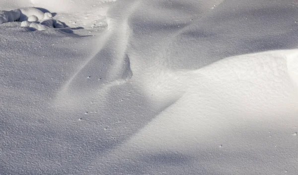 Kar Kış Mevsiminde Çekildi Kar Yağdıktan Sonra Ortaya Çıktı Yakın — Stok fotoğraf