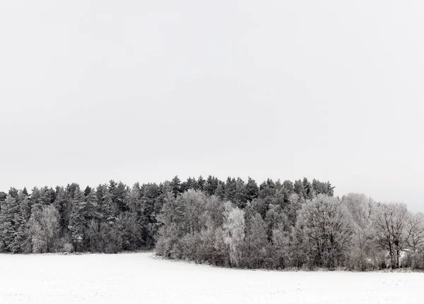 Neve Fotografada Temporada Inverno Que Apareceu Após Uma Queda Neve — Fotografia de Stock