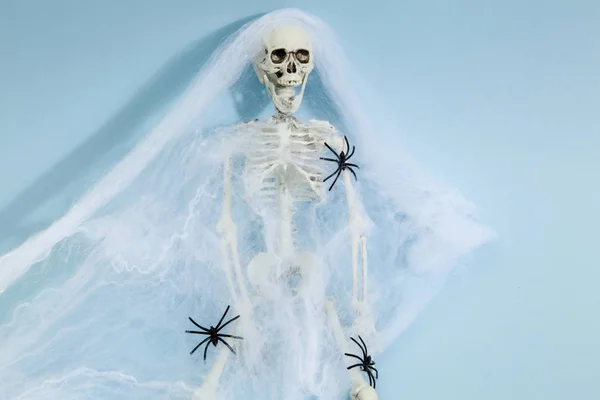 Canlı Mavi Bir Arka Planda Örümcek Ağı Tarafından Yakalanan Plastik — Stok fotoğraf