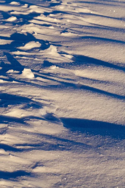 冬の雪に覆われた裸の木の幹 灰色の空に向かって撮影 — ストック写真