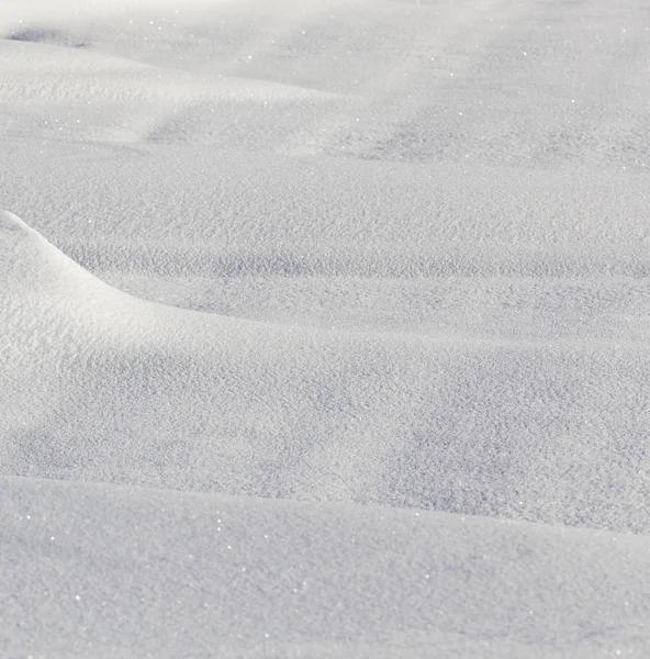 冬の雪に覆われた裸の木の幹 灰色の空に向かって撮影 — ストック写真