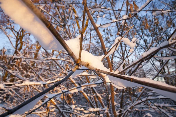 Fotografía Primer Plano Tomada Ángulo Por Una Superficie Cubierta Nieve —  Fotos de Stock