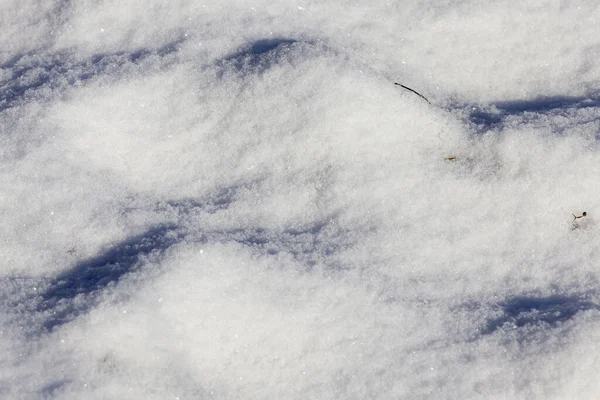 在降雪后被白雪覆盖的表面以一个角度拍摄的特写照片 干草从雪地里伸出来 实地深度小 — 图库照片