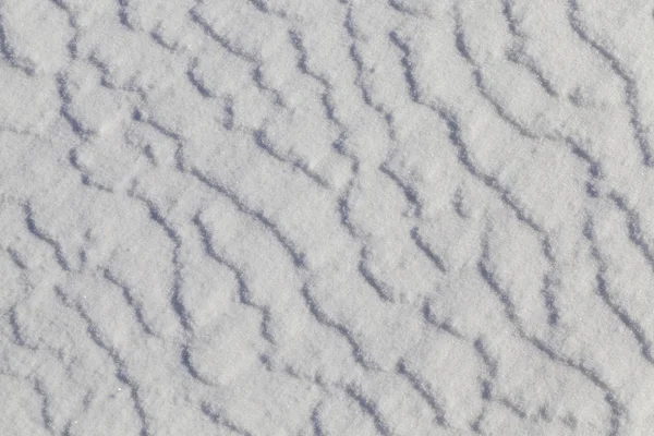 Árboles Fotografiados Que Crecen Bosque Temporada Invierno Las Ramas Formó — Foto de Stock