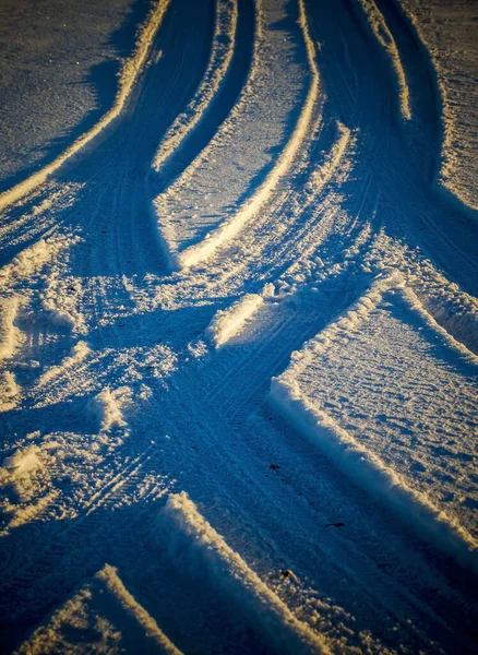 Крупным Планом Фотография Зеленого Гороха Плесенью Дефектами — стоковое фото