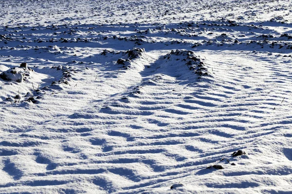 Fotografierte Schnee Nach Einem Schneefall Bei Frost Nahaufnahme Mit Geringer — Stockfoto