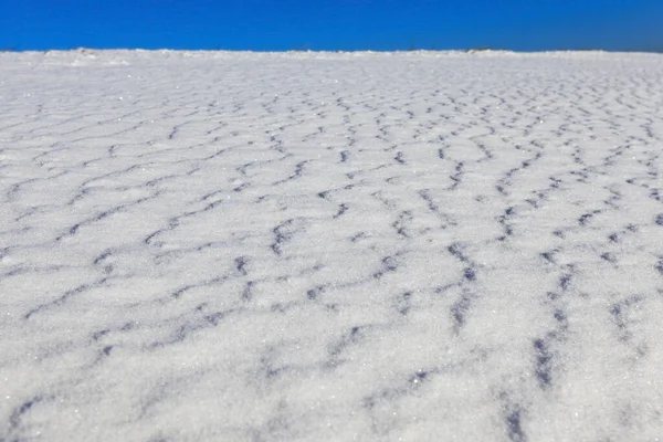 Campo Agrícola Coberto Com Neve Deriva Temporada Inverno Céu Azul — Fotografia de Stock