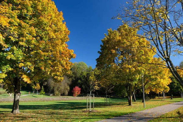 Vacker Utsikt Över Naturen — Stockfoto