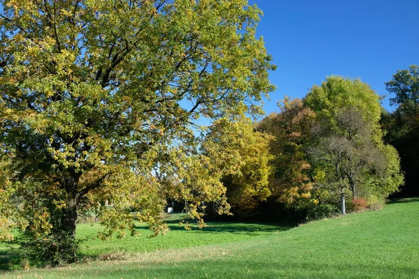 Atmosfera Jesienna Ostrość Selektywna — Zdjęcie stockowe