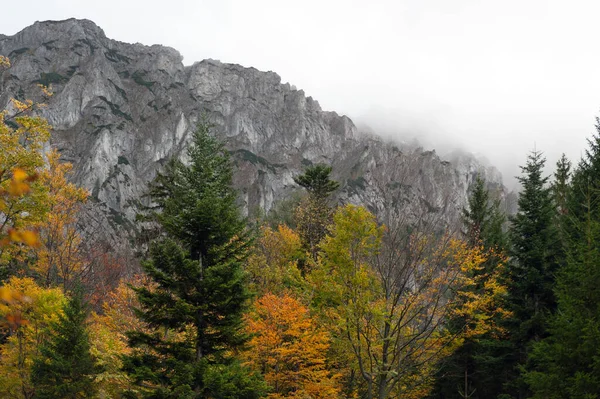 Brouillard Haut Mur Dans Les Alpes — Photo