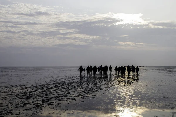 Люди Болоті Наближаються Світла Сході Сонця — стокове фото