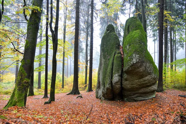 秋の花崗岩の森 Fichtelgebirge — ストック写真