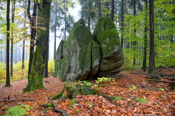 秋の花崗岩の森 Fichtelgebirge — ストック写真