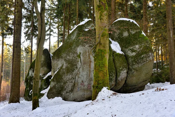 秋の花崗岩の森 Fichtelgebirge — ストック写真