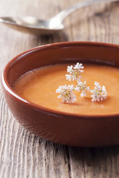 Close Spanish Salmorejo Soup — Stock Photo, Image