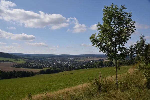 Vista Liebenstein Crottendorf Erzgebirge Primer Plano Vogelbeerbaum Ceniza Montaña — Foto de Stock