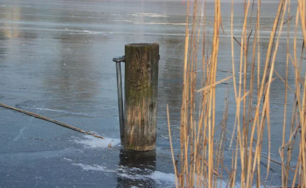 Lago Foi Congelado Demasiado — Fotografia de Stock