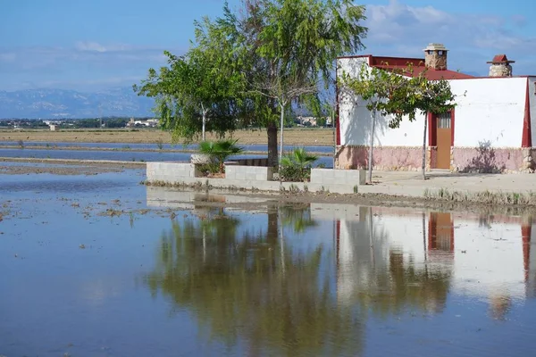 Ebro Delta稻田农舍 — 图库照片