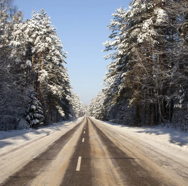 Stjälkar Vete Täckt Med Snö Vintern Foto Närbild Gården — Stockfoto