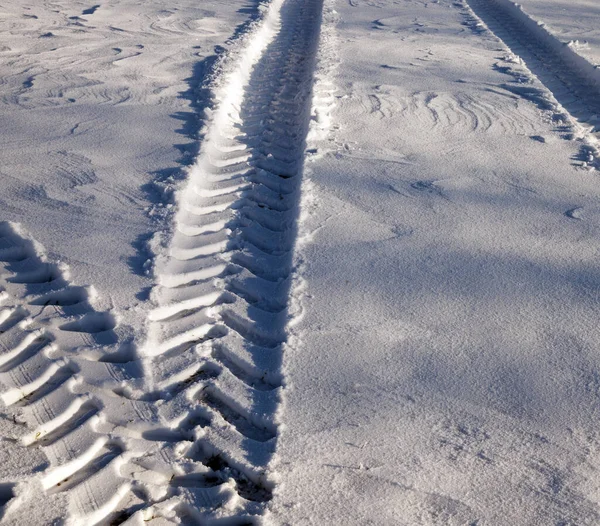 冬に雪に覆われた小麦から茎 農場の写真がクローズアップされ — ストック写真