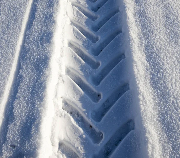 Hastes Trigo Coberto Com Neve Inverno Foto Close Fazenda — Fotografia de Stock