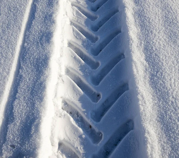 Tiges Blé Recouvert Neige Hiver Photo Gros Plan Sur Ferme — Photo