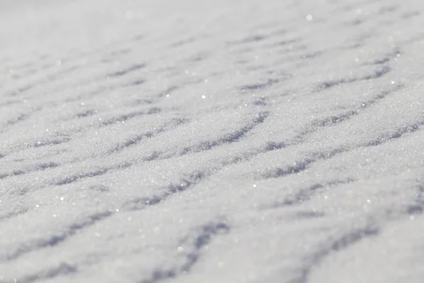 Hastes Trigo Coberto Com Neve Inverno Foto Close Fazenda — Fotografia de Stock