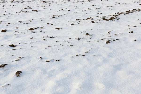 冬の森の雪に覆われた木々青い空の風景写真 — ストック写真