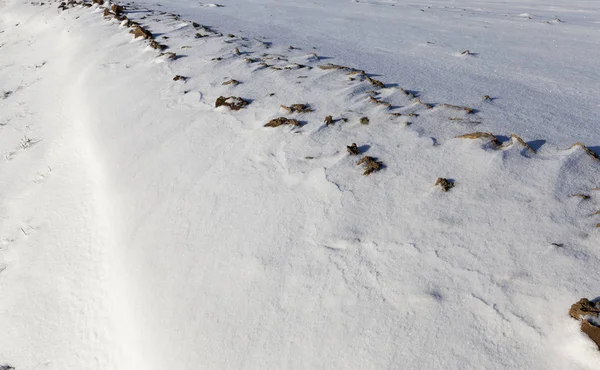 Besneeuwde Bomen Het Bos Het Winterseizoen Een Foto Van Een — Stockfoto