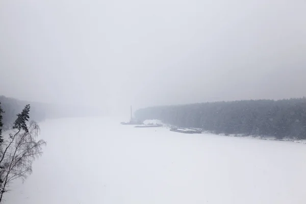 Árvores Cobertas Neve Floresta Temporada Inverno Uma Foto Uma Paisagem — Fotografia de Stock